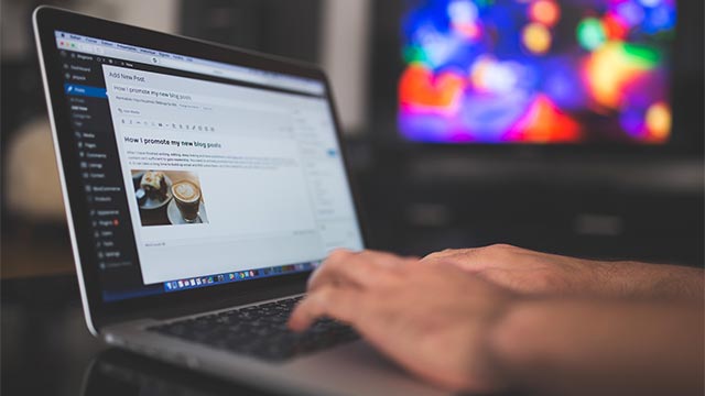 Webseite bauen Text schreiben in WordPress
